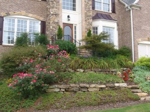 Front Door Landscape Design