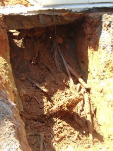 The Inside of a Sink Hole