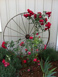 Garden Art and Salvaged Materials