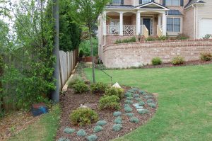 New Landscape Design