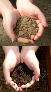 Soil Testing Before and After