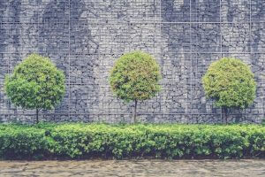 stone wall and trees