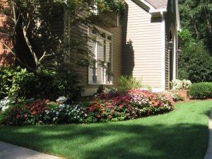 Potted Luck Landscape Hardscaping & Landscape Design