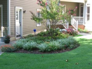 lawn after landscaping services