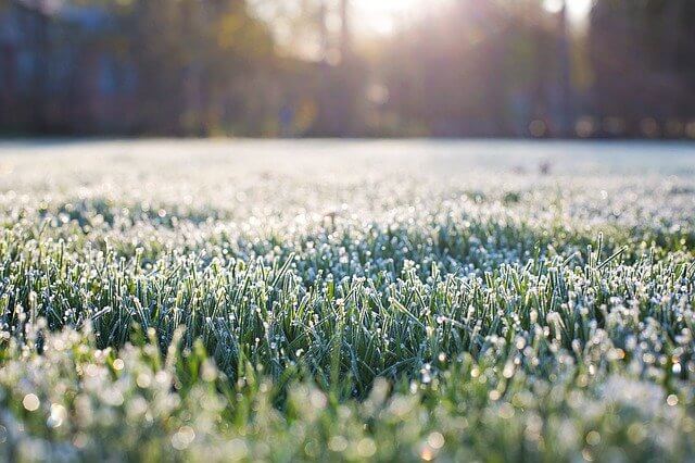 Early morning photo of frost on grass