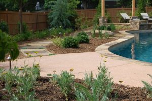 landscape lighting around pool