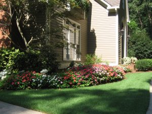 Flower bed with colorful pink flowers